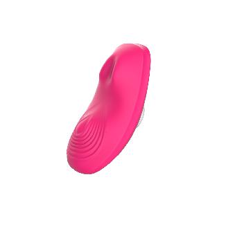 Secret panty vibe with magnet and remote and 2 motors